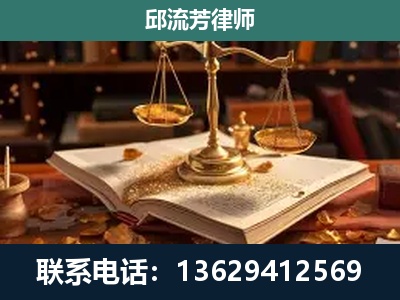 高安-新型网络犯罪